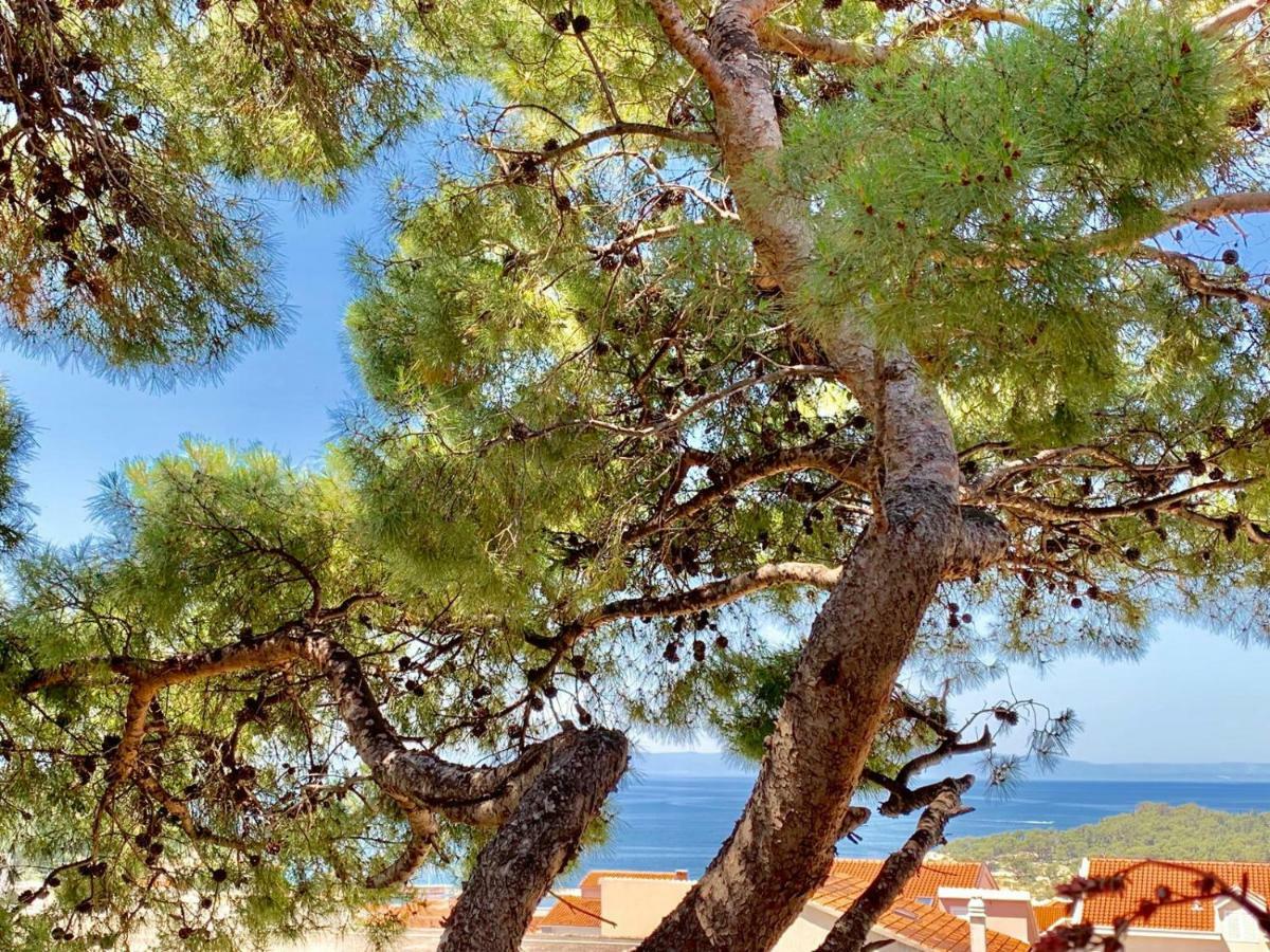 Ferienwohnung 17 Pines Makarska Exterior foto
