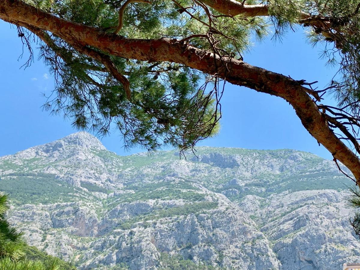 Ferienwohnung 17 Pines Makarska Exterior foto